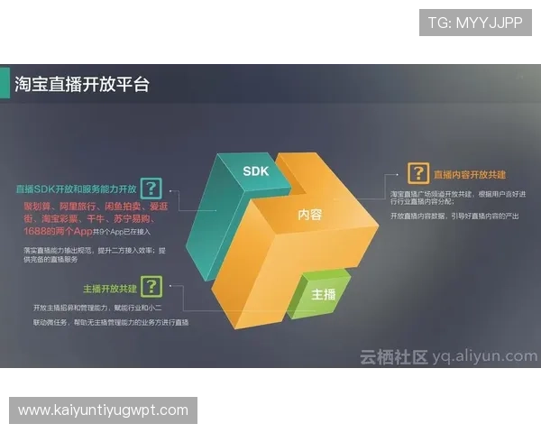 探讨开云官方网页在电子商务领域的影响与发展趋势